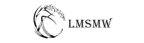 banner LMSMW