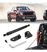 Tailgate Assist Shock for Ford F150 2015-2023, Truck Tailgate Shock Accessories Compatible with 2...