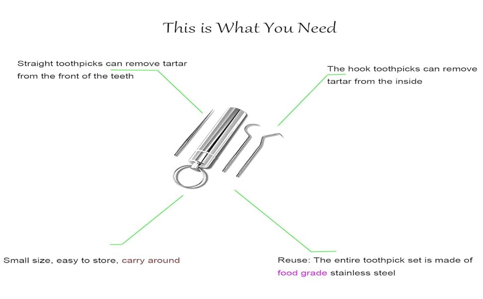 toothpicks toothpick holder smallest stainless toothpick reusable toothpicks for teeth