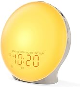 JALL Sunrise Alarm Clock White Noise Machine with 25 Nature Sleep Sounds, Fully Dimmable Clock fo...