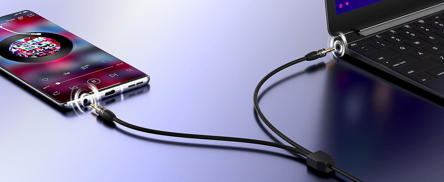 aux splitter 1 in 2 out