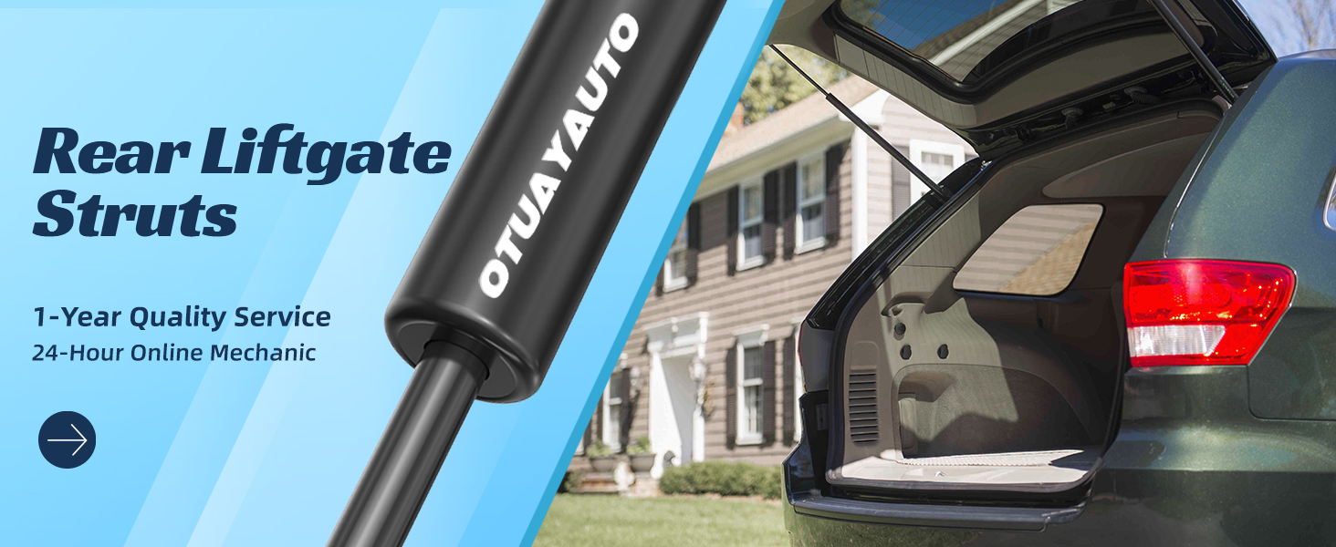 Rear Liftgate Struts