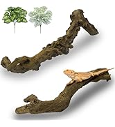 Apatal Reptile Branch Decor 2 Pcs Snake Climbing Wood Branches Lizard Habitat Decorations Terrari...