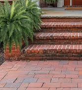Brick paved exterior steps with a decorative palm plant in a terra cotta pot positioned on the left side.