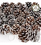 24 PCS Natural Pine Cones, 1.96 in Pinecone Ornaments, Pine Cones for Crafts with Sliver String, ...