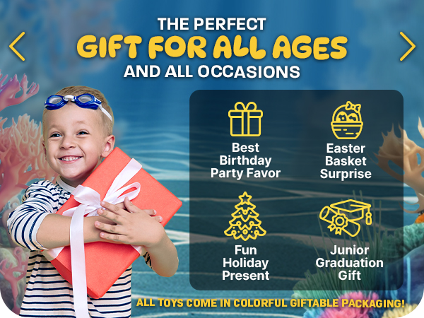 Refresh Sports Perfect Gift