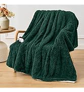 Easthome Electric Heated Throw Blanket - Jacquard Shaggy Sherpa 50"x60" Fast Heating Bed Blankets...