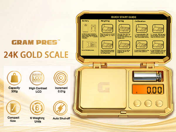 Digital Pocket Punk Scale