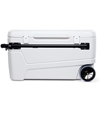 https://m.media-amazon.com/images/S/aplus-media-library-service-media/ce6bd598-93f1-4c89-83c1-28fc2b43fc74.__AC_SR200,225___.jpg