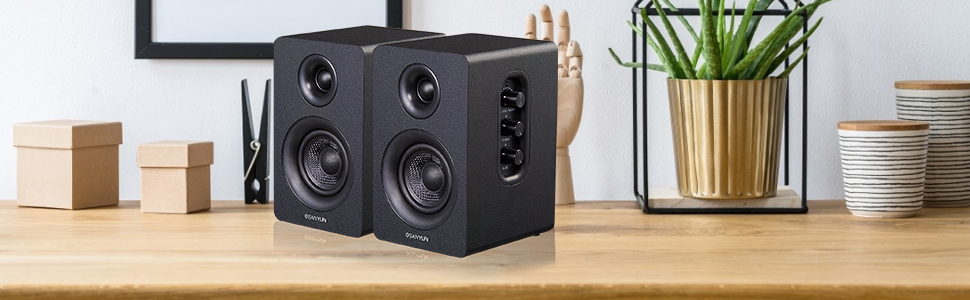 computer Bookshelf speakers