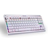 Granvela MechanicalEagle Z-77 75% Mechanical Keyboard | Aluminium Panel | Clicky Blue Switches | ...