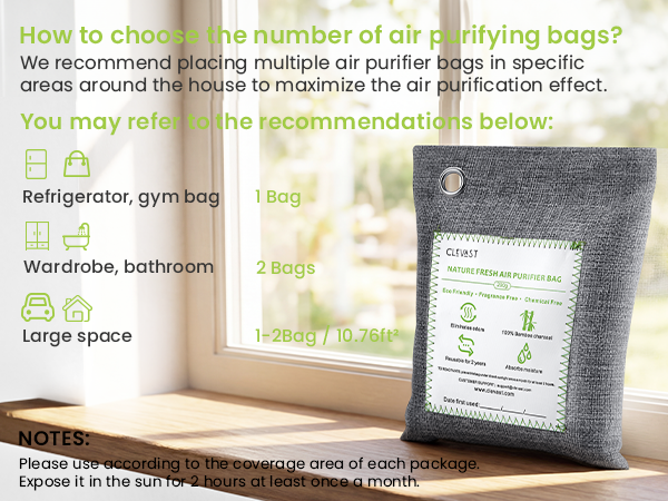 activated charcoal bags car air purifier