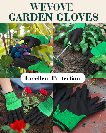 plant shears pruning indoor