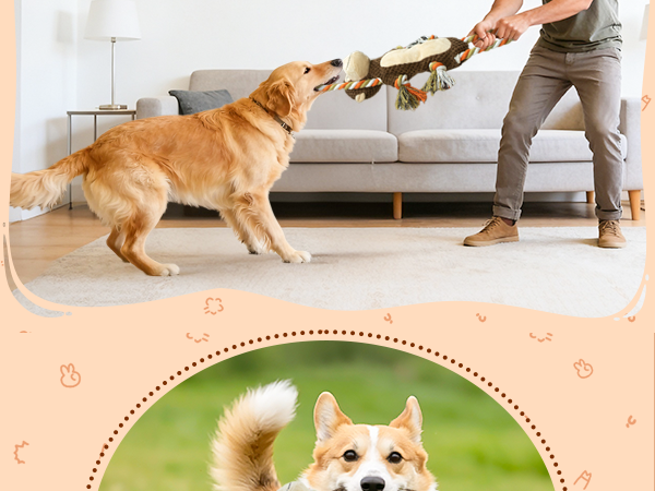 Interactive dog toys