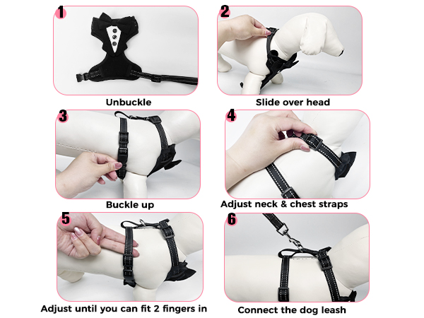 small dog harness