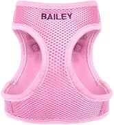 GoTags Personalized Step-in Air Harness, Comfortable Mesh No Pull Harness for Dogs and Cats, Quic...