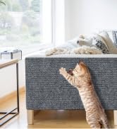 cat scracher