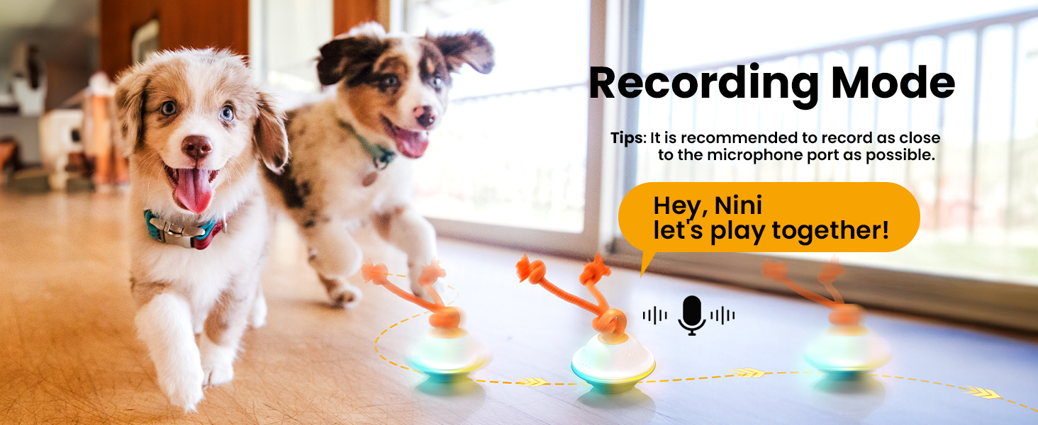 interactive dog toy