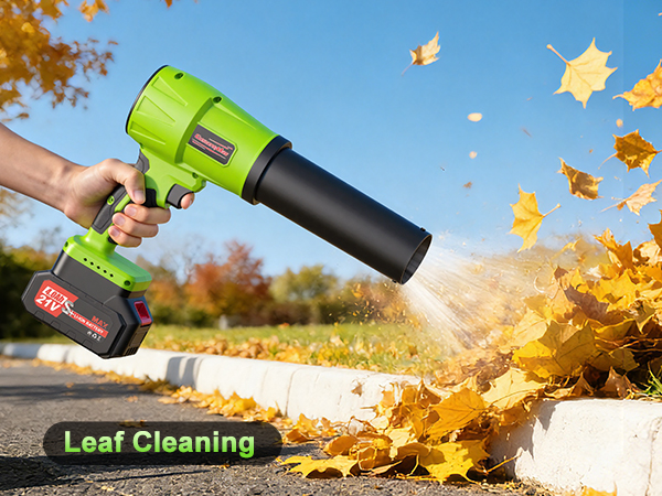 Leaf Cleaning