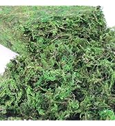 YGbridge Artificial Moss, 10.5 OZ Green Moss for Decorating, Faux Moss for Crafts, Decorative Mos...