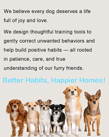 dog training collar