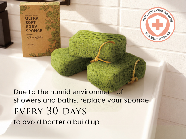 shower sponge