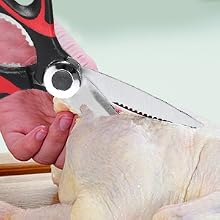 Food scissors