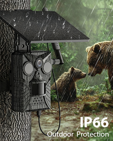 cellular trail camera with live feed