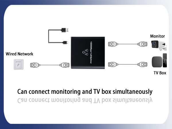 1000Mbps Network Splitter