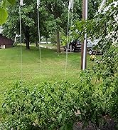 J Hooks to Prevent Tomatoes