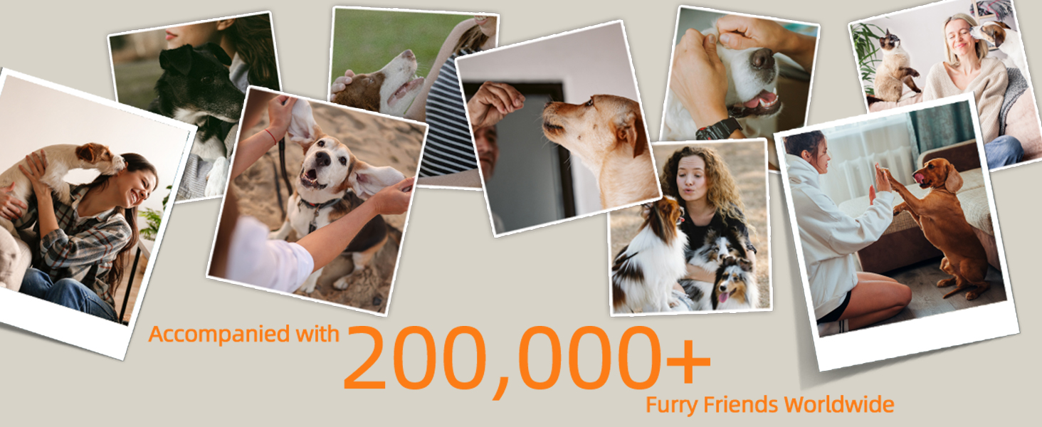 More than 200000 Users