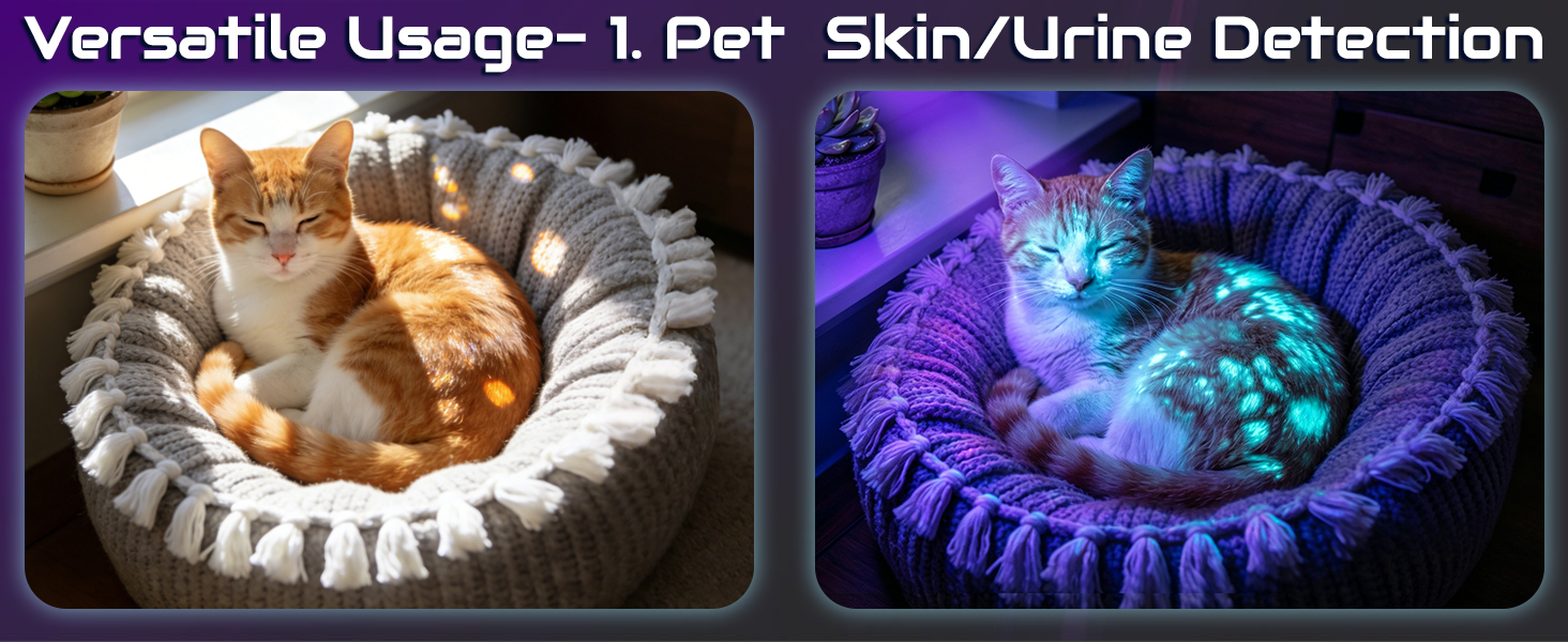 pet skin/urine detection