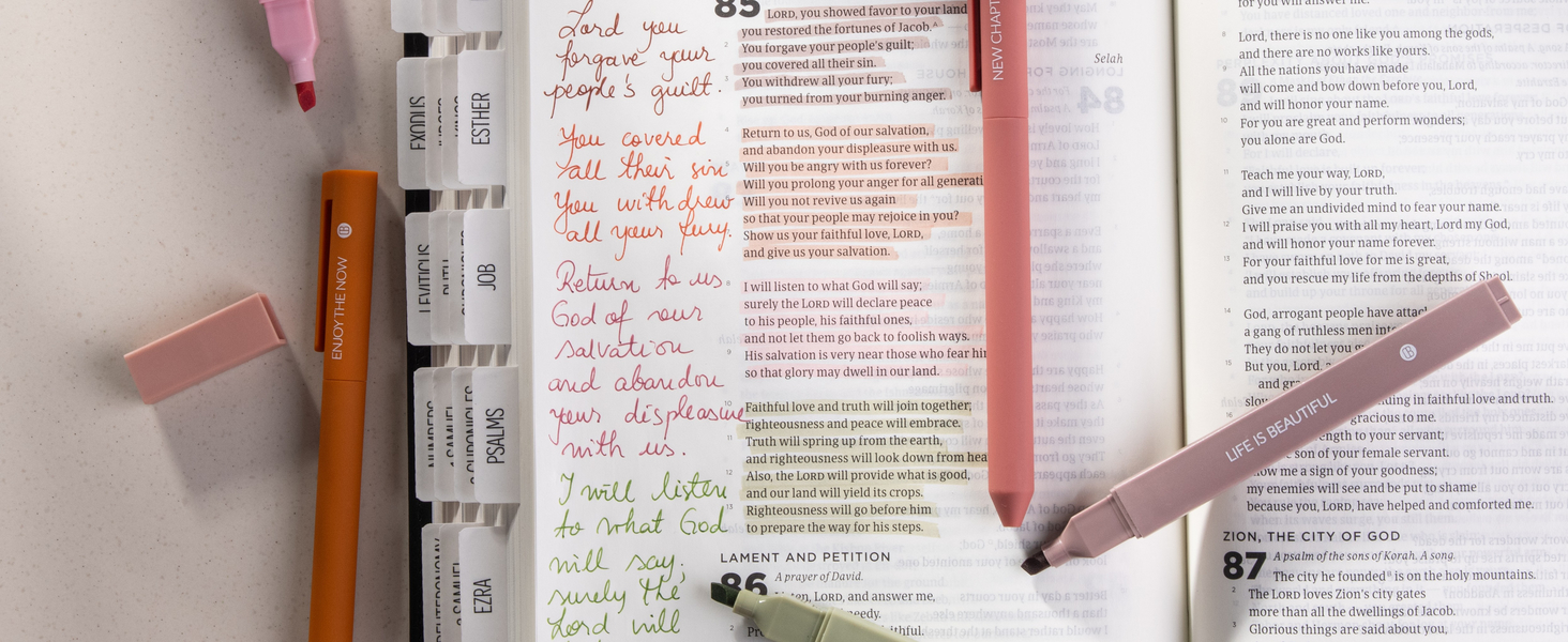 DiverseBee Bible Highlighters and Pens
