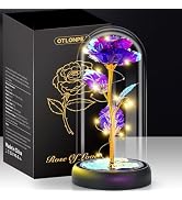 Otlonpe Christmas Rose Flower Gifts for Women, Mom Gifts for Christmas Valentines Mothers Day Bir...