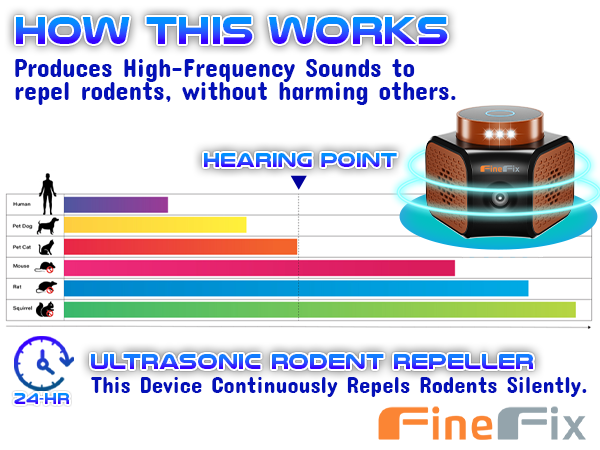 getting bug removal products things permanently killers dog reject prevention ways upgraded version