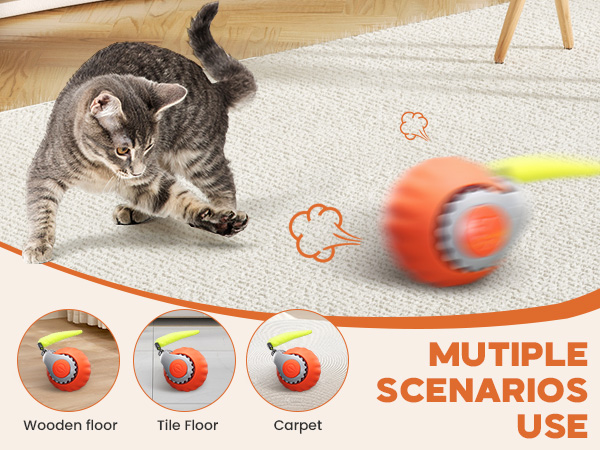 cat toy ball