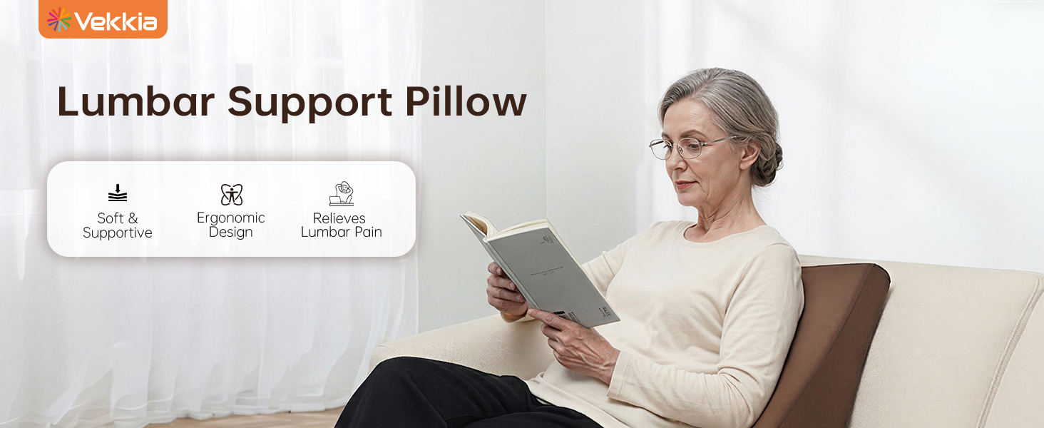 Lumbar Support Pillow