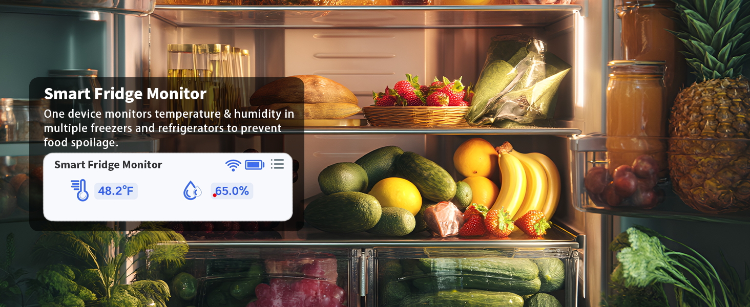 wifi temperature monitor freezer