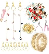 Dfqsofd 213Pcs Lip Gloss Keychain Making Kit, Including 33ft Gold Extender Chain 100 Charms 100 J...