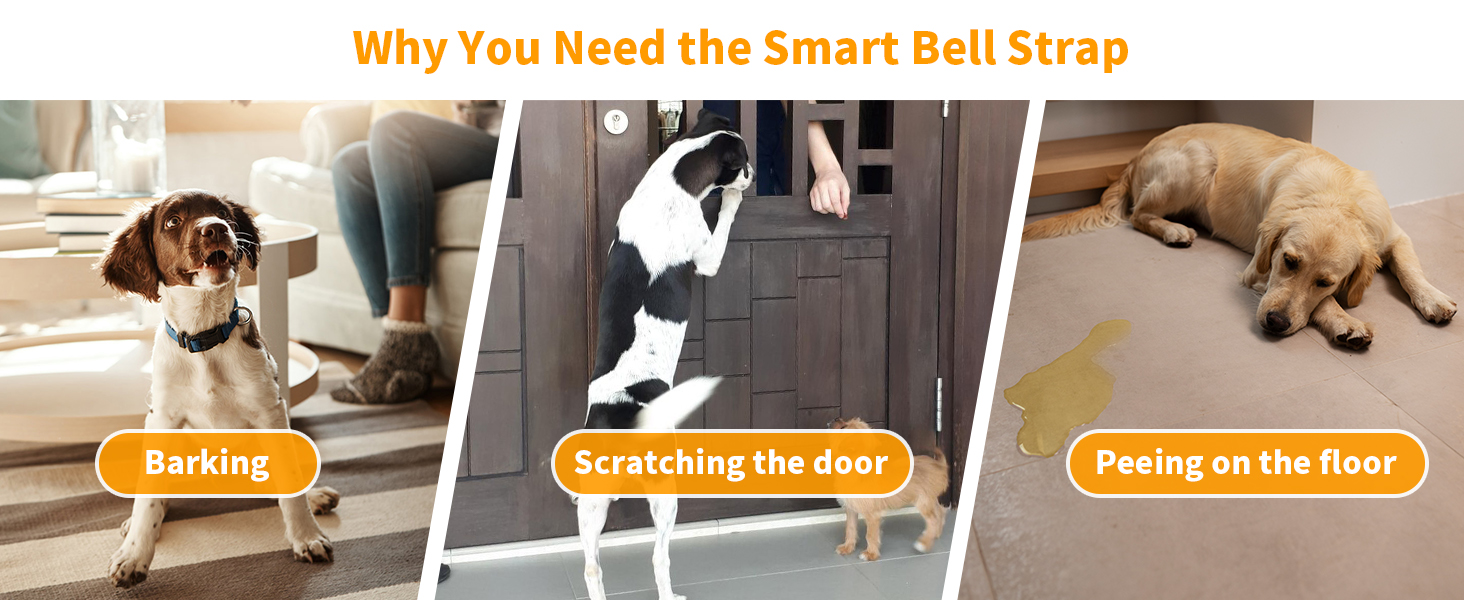 dog Barking, scratching the door, peeing on the floor, need a dog bell to help
