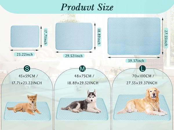 Multiple Sizes for Most Pet: