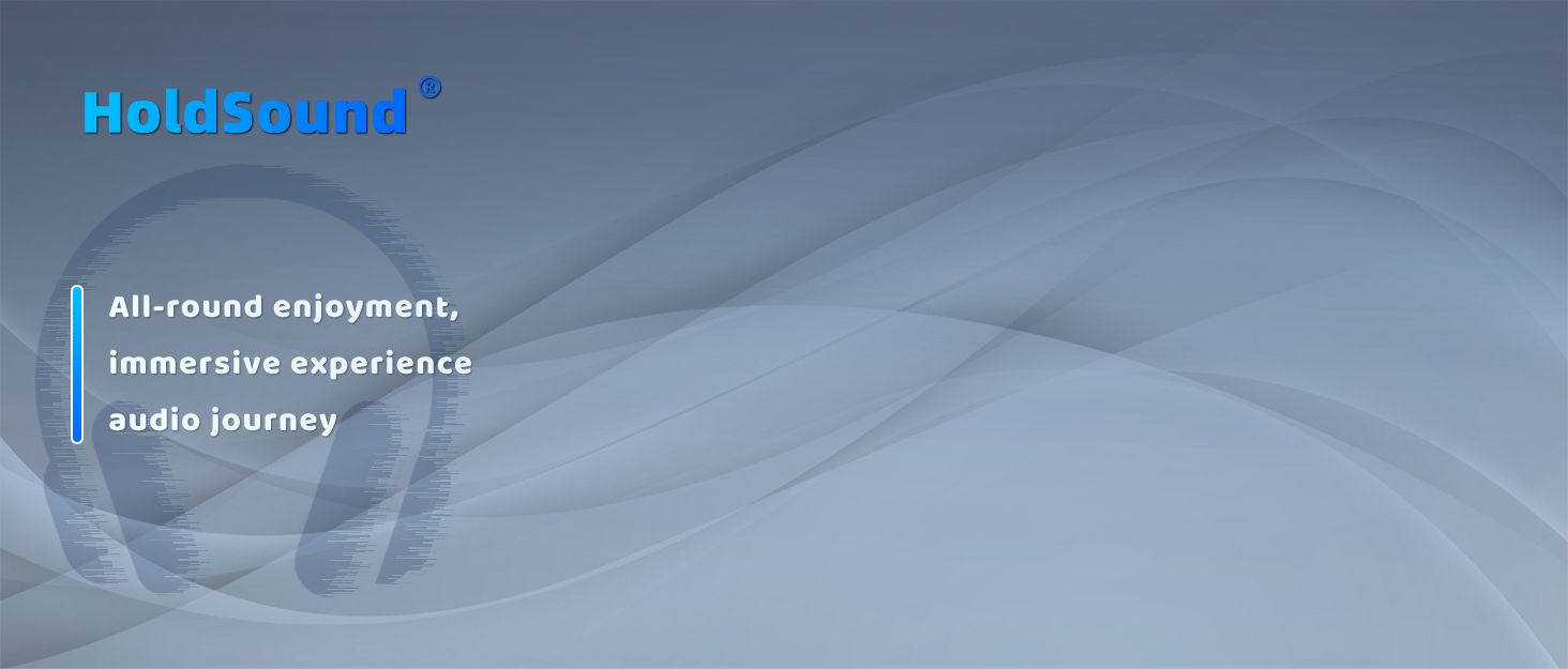 holdsound wireless headphones for TV