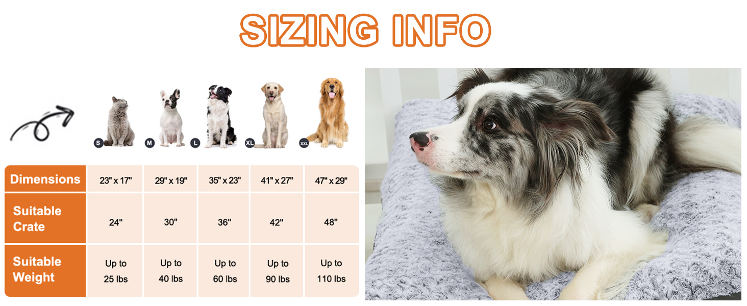 dog bed