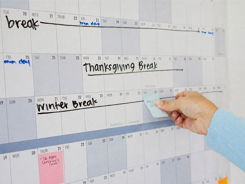 GIANT Dry Erase Wall Calendar | 4ft x 3ft Full Year Planner