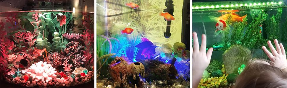 fish tank background lights
