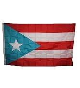 3X5 Light Blue Puerto Rico Rican Flag 3'X5' House Banner Brass Grommets (Blue)