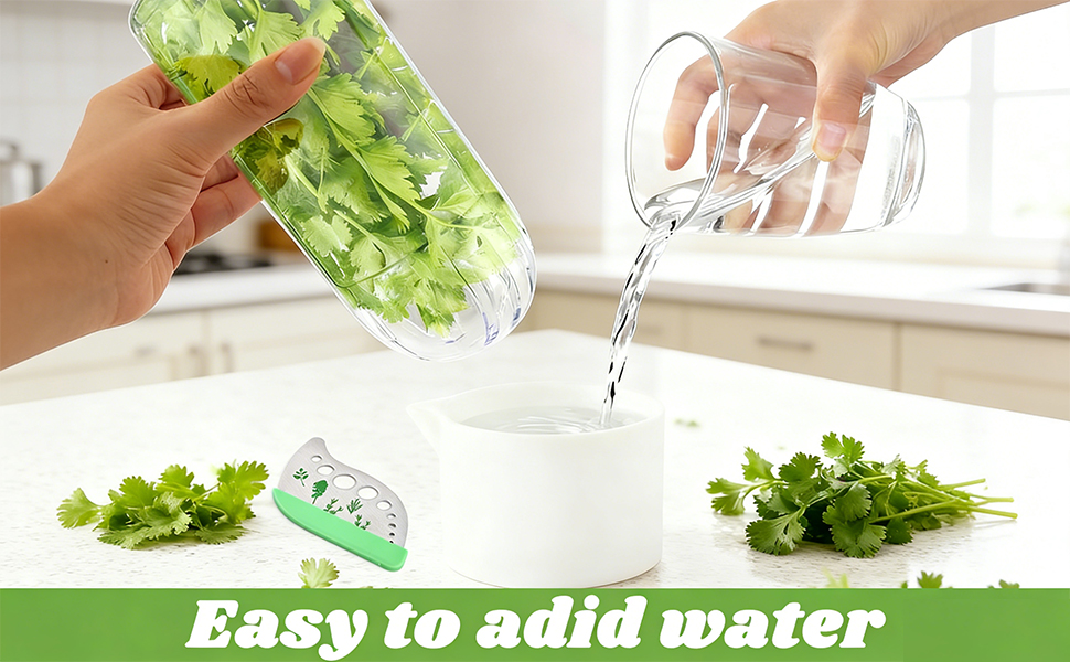 herb saver for refrigerator
