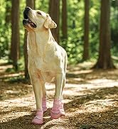 dog shoes for large dogs
