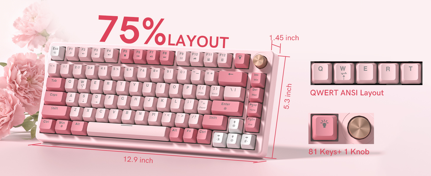 75% layout mechanical keyboard, 81keys