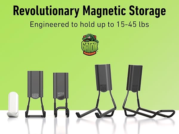 Revolutionary Magnetic Storage